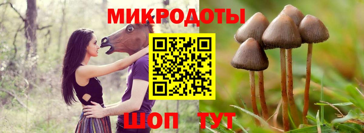 Псилоцибиновые грибы мухоморы Новотроицк